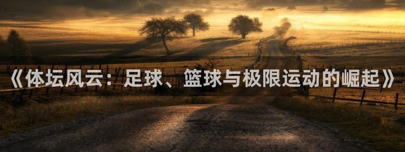 杏悦f凯捷注册：《体坛风云：足球、篮球与极限运动的崛起》