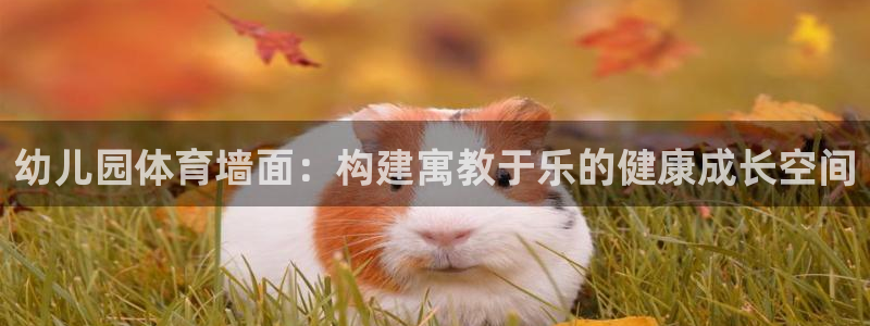 杏悦体育3在线注册：幼儿园体育墙面：构建寓教于乐的健康成长空间