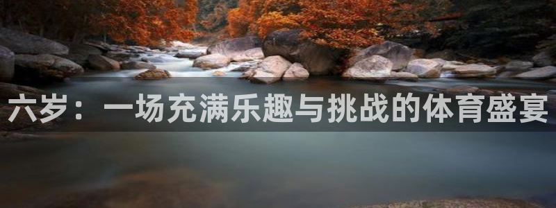 杏悦招商：六岁：一场充满乐趣与挑战的体育盛宴