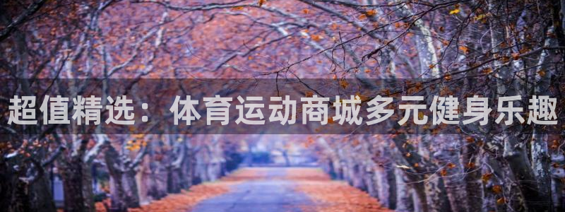 杏悦体育3：超值精选：体育运动商城多元健身乐趣