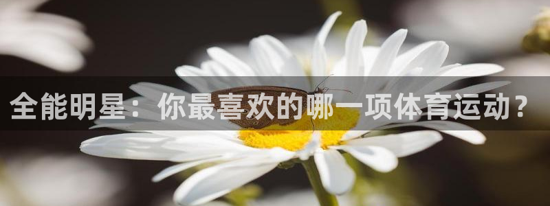 杏悦娱乐登录注册：全能明星：你最喜欢的哪一项体育运动？