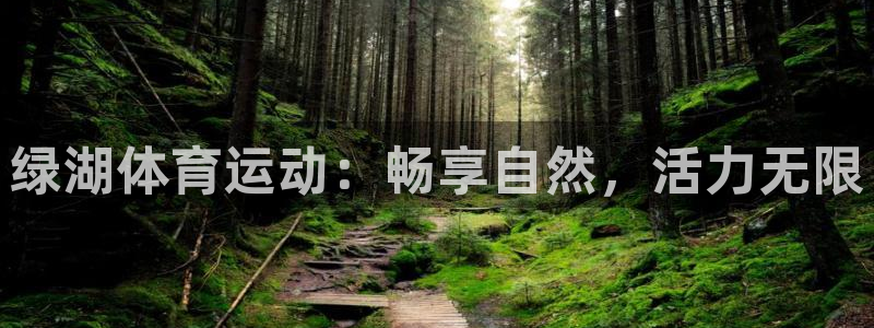 杏悦登录注册：绿湖体育运动：畅享自然，活力无限