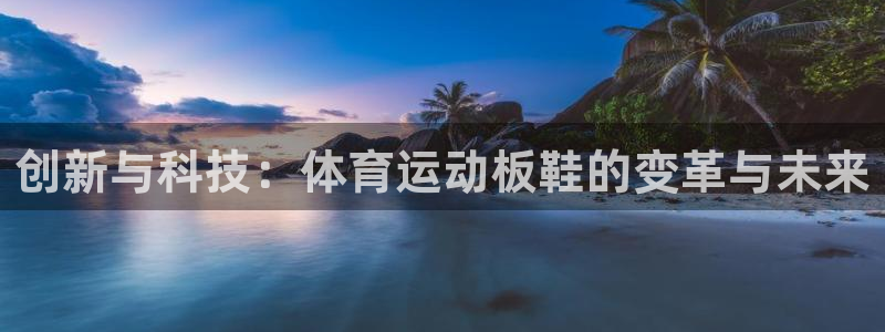 杏悦体育注册：创新与科技：体育运动板鞋的变革与未来