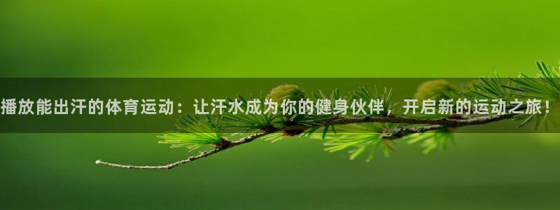 杏悦2体育登录入口：播放能出汗的体育运动：让汗水成为你的健身伙伴，开启新的运动之