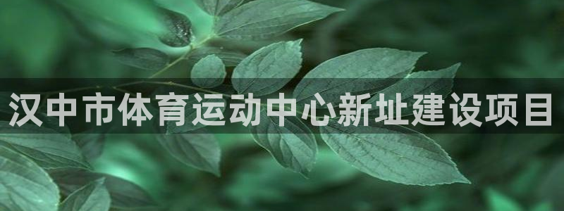 杏悦体育网页版入口：汉中市体育运动中心新址建设项目