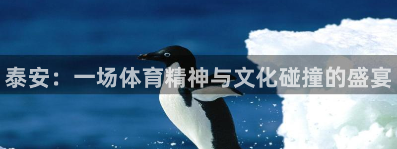 杏悦平台注册：泰安：一场体育精神与文化碰撞的盛宴