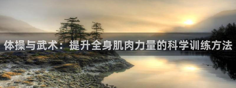 杏悦2注册：体操与武术：提升全身肌肉力量的科学训练方法