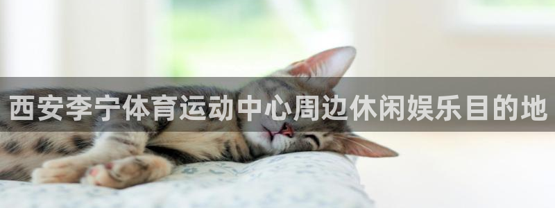 杏悦2平台注册入口：西安李宁体育运动中心周边休闲娱乐目的地