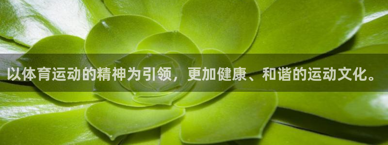 杏悦f平台注册：以体育运动的精神为引领，更加健康、和谐的运动文化。