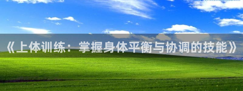 杏悦平台注册：《上体训练：掌握身体平衡与协调的技能》