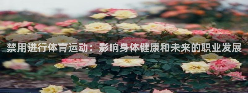 杏悦2体育：禁用进行体育运动：影响身体健康和未来的职业发展