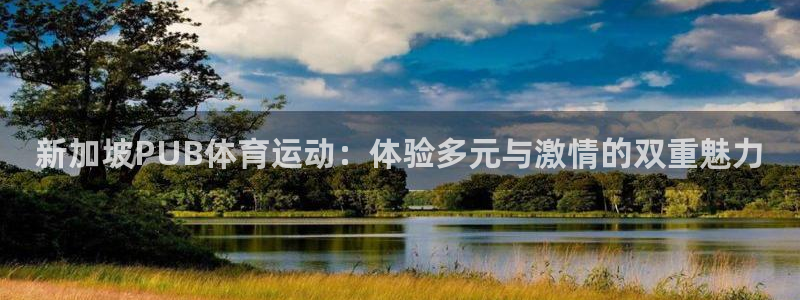 杏悦凯捷注册：新加坡PUB体育运动：体验多元与激情的双重魅力