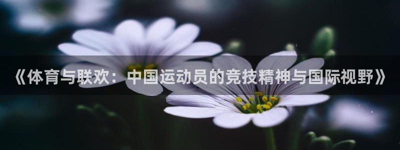 杏悦5招商：《体育与联欢：中国运动员的竞技精神与国际视野》