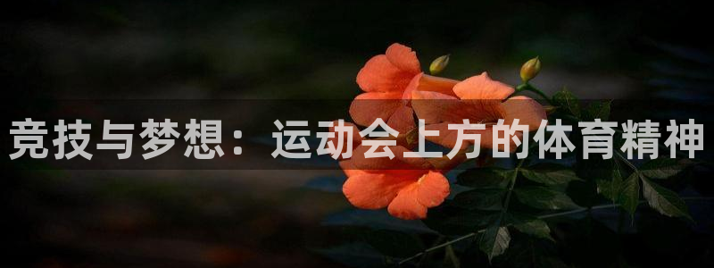 杏悦平台