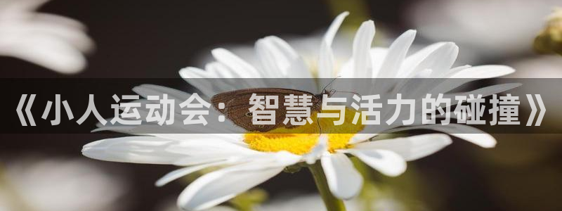 杏悦是什么平台：《小人运动会：智慧与活力的碰撞》