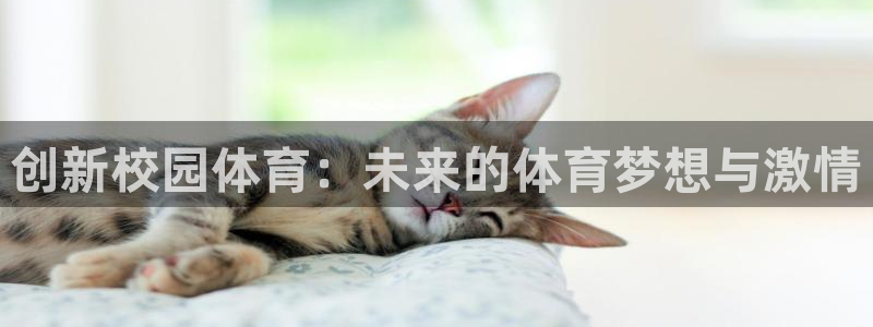 杏悦体育4