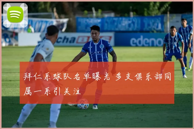 拜仁系球队名单曝光 多支俱乐部同属一系引关注